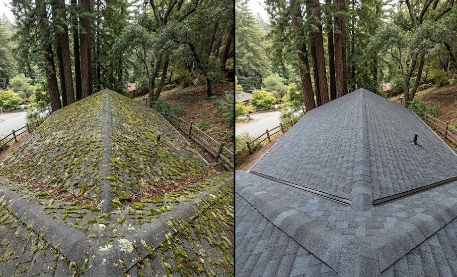 Roof Moss Removal Before and After Among Redwoods
