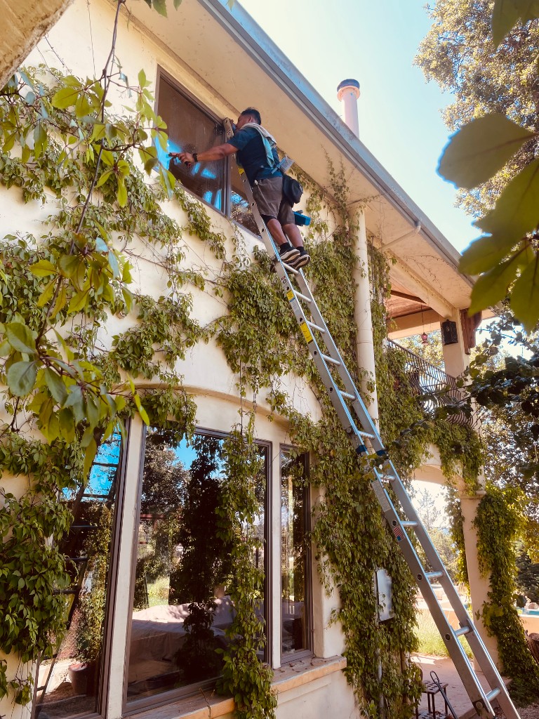 Window Cleaner on Ladder at Vine-Covered Home