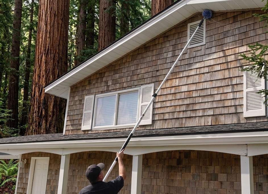 Cobweb Removal Santa Cruz